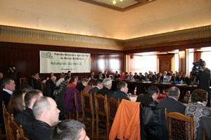 img 9179