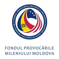 logo vertical-ro