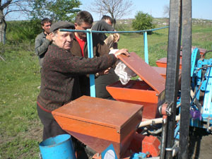 picture1